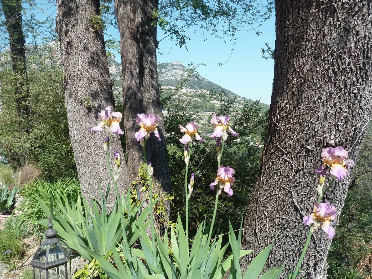 Au Pied Des Baous Bed and Breakfast Vence Exterior foto